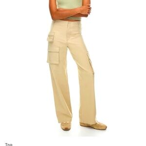 Aritzia Picture Cargo Pants